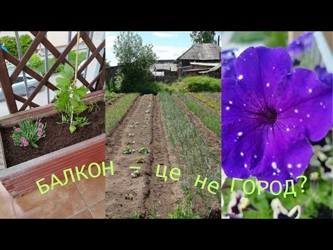 Видео: БАЛКОНИ У ПОЛЬСЬКИХ КВАРТИРАХ🏠 ЗАПРОШУЮ НА СВІЙ БАЛКОН😉💙💛 PL