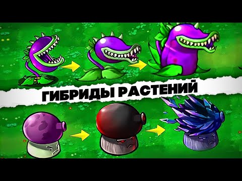 Видео: Новый взгляд на PVZ: Обзор FUSION MOD