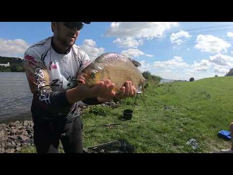 Видео: Рыбалка в Германии. Здоровые лещи и полевая кухня! Рыбалка на реке на фидер.
