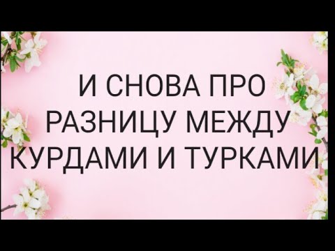 Видео: И СНОВА ПРО РАЗНИЦУ МЕЖДУ КУРДАМИ  И ТУР КАМИ
