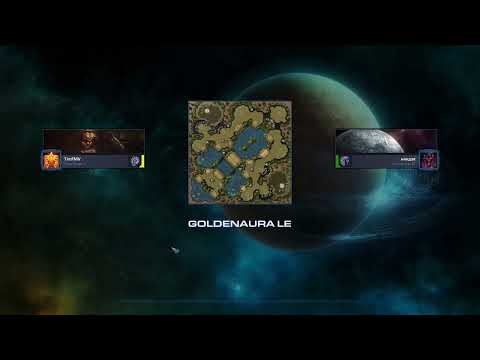 Видео: SC2 Ниндзя вс Тим