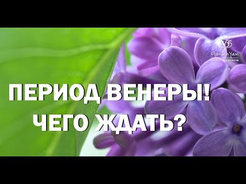 Видео: ПЕРИОД ВЕНЕРЫ! ЧТО ЖДАТЬ?