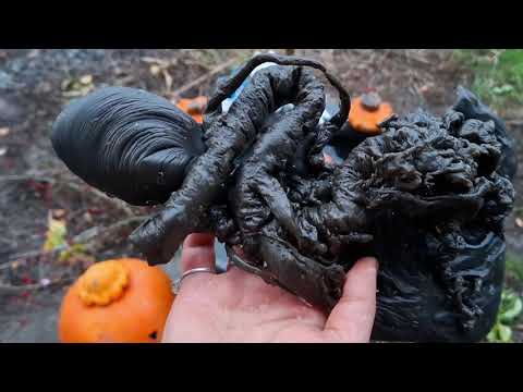 Видео: Чистка "Страшный суд" от вампиров ворующих плоды труда и негативно влияющих на судьбу!