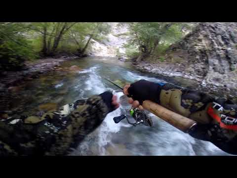 Видео: Рыбалка на форель 2020