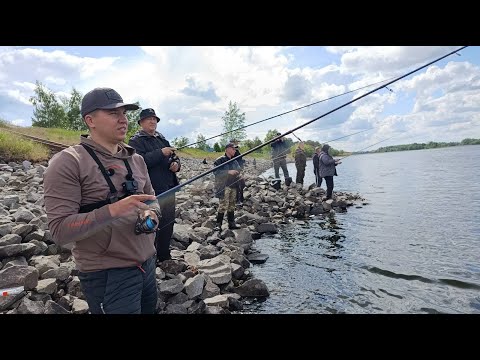 Видео: Тут ловили ВСЮ рибу! Судак, щука, сом, лящ!  Клювало все! Рибалка на спінінг з берега!