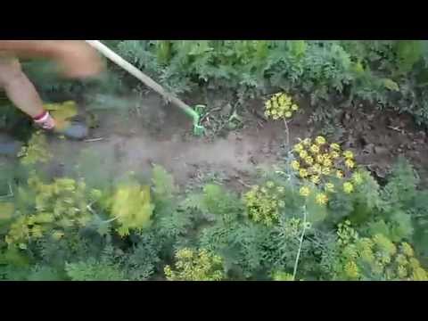 Видео: Полольники Стремя и Стриж