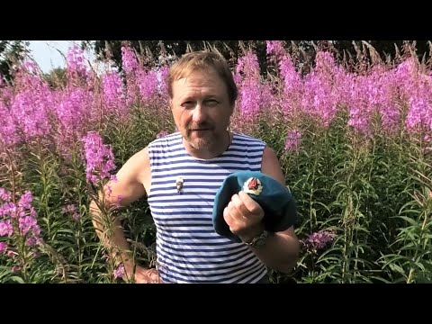 Видео: Вернем малиновый берет в десантные войска