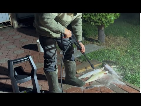 Видео: Рибалка та чистка риби, швидкий метод