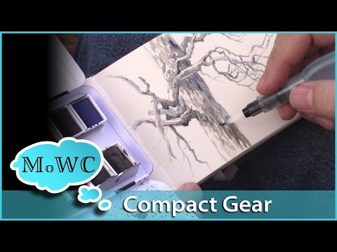 Видео: Рисование акварелью на пленэре с минимальным набором инструментов