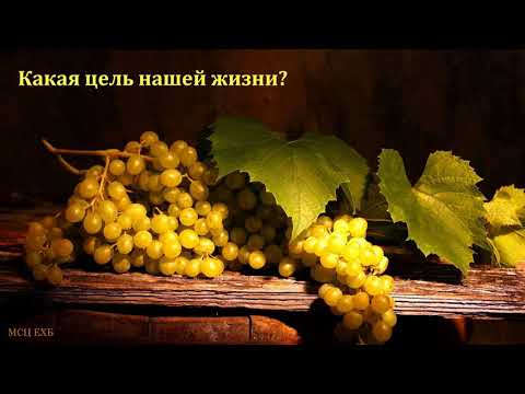 Видео: "Как приносить много плода". Н. С. Антонюк. МСЦ ЕХБ