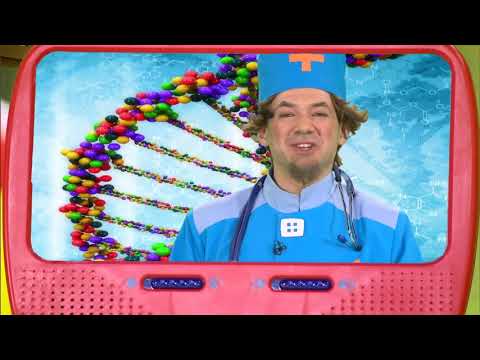 Видео: Жизненная энергия  3 серия,  АБВГДейка Азбука Здоровья