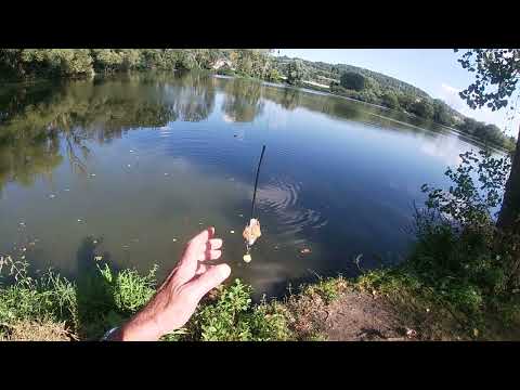 Видео: Карпы ночью, лещи днем.И есть ли браконьерство в Германии.Первый контроль в этом году.
