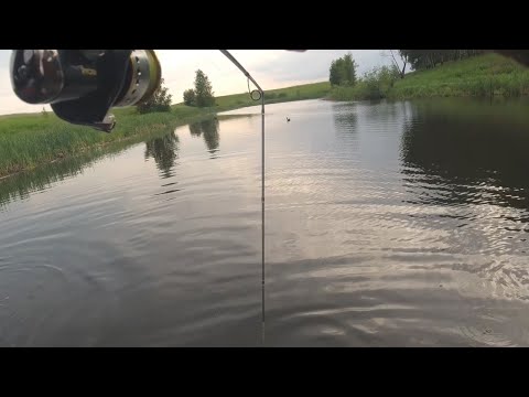 Видео: Спиннинг попалам!А рыбалка Огонь!