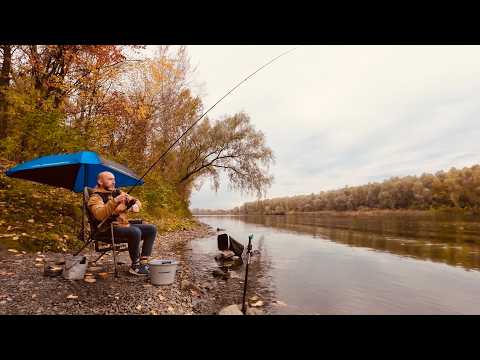 Видео: Шалений кльов плітки на Десні. Риболовля у жовтні 2025.