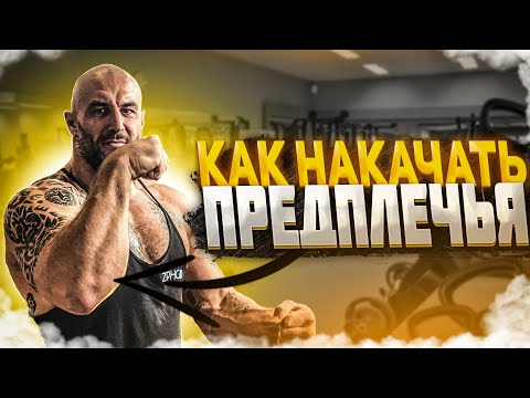 Видео: КАК НАКАЧАТЬ ПРЕДПЛЕЧЬЯ | 5 ЛУЧШИХ УПРАЖНЕНИЙ