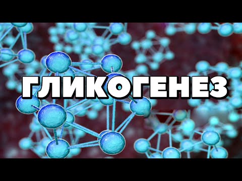Видео: Биохимия.Гликогенез.Синтез гликогена.