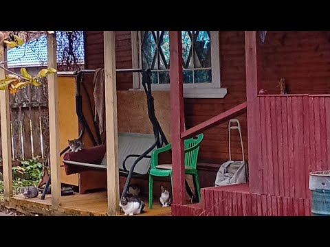 Видео: Зачем телевизор в частном доме .