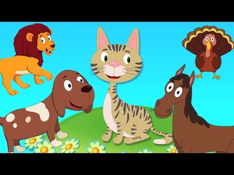 Видео: Животное звук песня | узнать звук животных | Kids Rhymes | Animal Sound Song