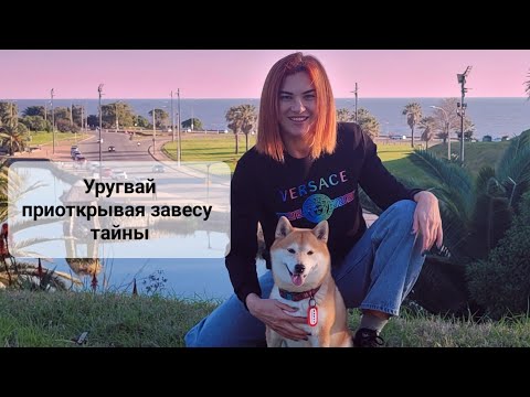 Видео: Немного правды про Уругвай