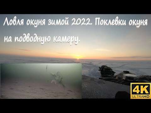 Видео: Ловля окуня зимой. Поклевки окуня на подводную камеру.Focusfish