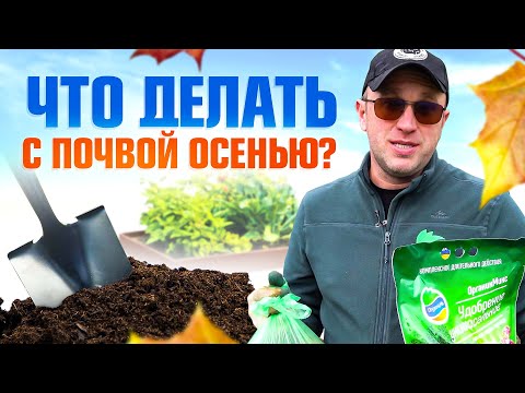 Видео: Что нужно делать с почвой после уборки томатов осенью? / Илья Макаров