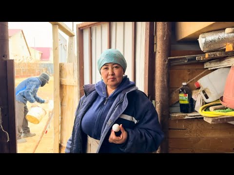 Видео: Атадан ұят болды не істеп жүр қорада