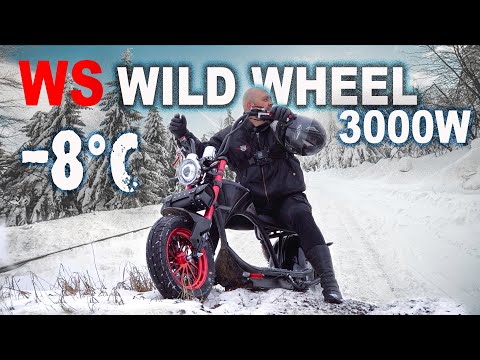 Видео: Citycoco WS-WILD WHEEL электро чоппер! Жесткий тест-драйв