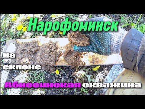 Видео: Абиссинка в Нарофоминске!