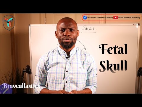 Видео: ЧЕРЕП ПЛОДА...упрощенный