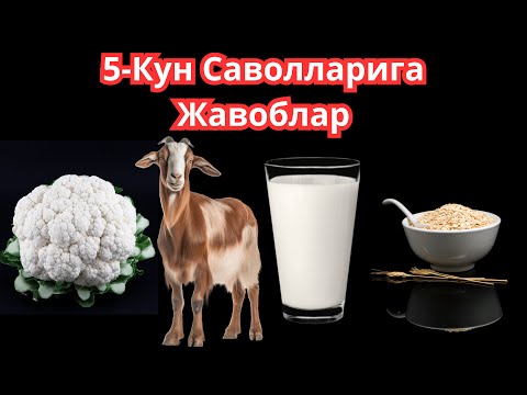 Видео: 5-КУН Саволларига Жавоблар: ДИАБЕТНИ ДАВОЛАШ МАРАФОНИ / ДИАБЕТНИ ДАВОСИ