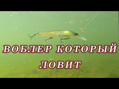 Видео: Воблер с Алиэкспресс КОТОРЫЙ ЛОВИТ ! Воблер для щуки TSURINOYA AURORA!