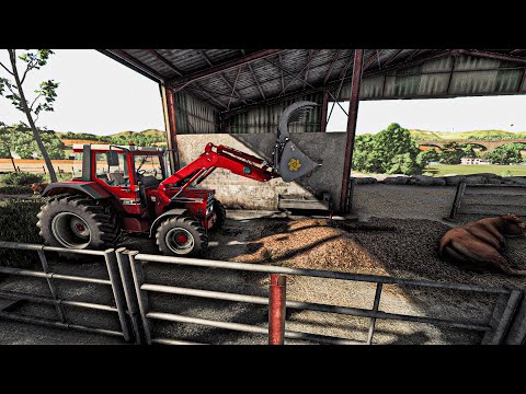 Видео: Очистка грязных коровьих сараев с помощью случая IH 845 XL | Farming Simulator 25