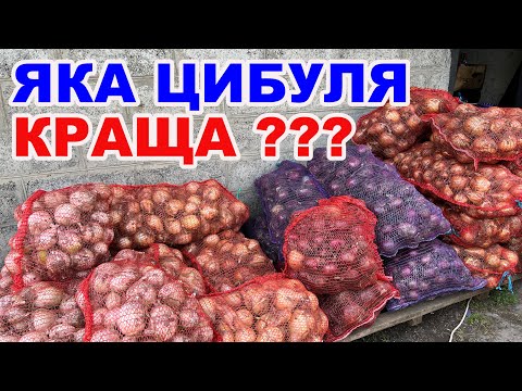 Видео: Огляд сортів цибулі . На якій вийшло заробити ?