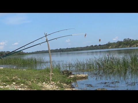 Видео: Ловля на Донки с ЯМЫ! Рыбалка в Августе на ОКЕ 2023!