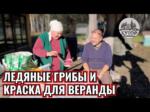 Видео: ЛЕДЯНЫЕ ГРИБЫ И КРАСКА ДЛЯ ВЕРАНДЫ