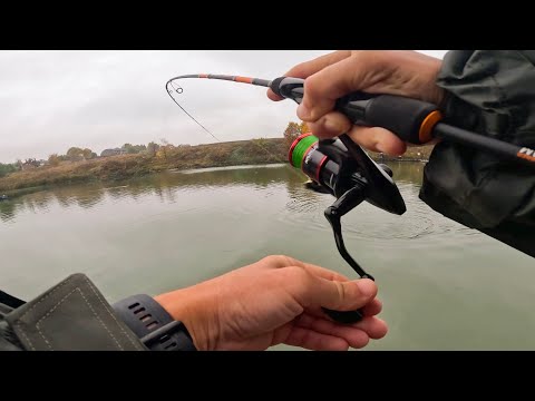 Видео: ДЫХАНИЕ ЗАМИРАЕТ от БОРЬБЫ с этой РЫБОЙ! Рыбалка на спиннинг в октябре 2024