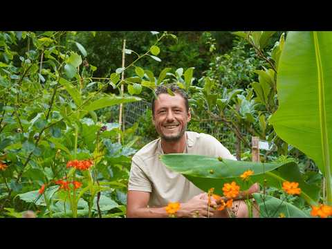 Видео: Как перестать использовать трудный путь в продовольственных лесах