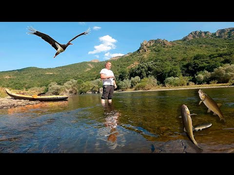 Видео: Долината на черния щъркел.The Valley of the Black Stork.