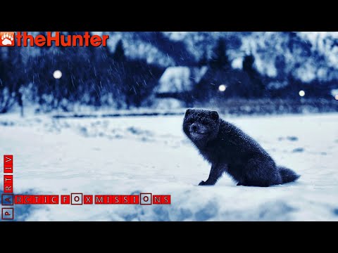 Видео: ♢ theHunter Classic ♢ Arctic Fox missions ♢ part IV ♢ миссии на песца часть 4 ♢