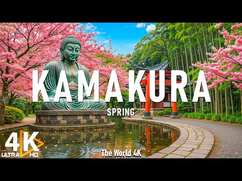 Видео: Весенняя Камакура 4K, Япония 🌸 – прогулка по храму Хасэдэра и Великому Будде под сакурой