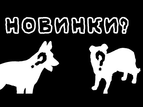 Видео: •НОВИНОЧКИ ФИГУРОК СОБАК• #schleich #собака #фигурка #шляйх #новинки
