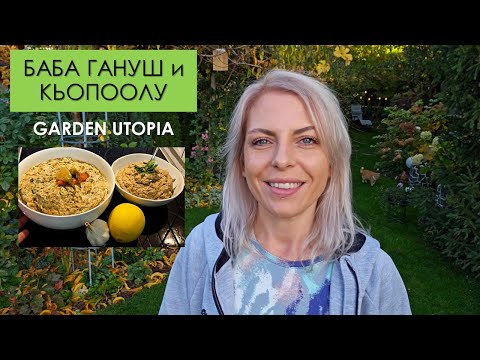 Видео: Рецепти с ПОСЛЕДНИТЕ ПАТЛАДЖАНИ и ПИПЕРКИ: #Ден 61 от 90 ДНИ НА СЕЛО