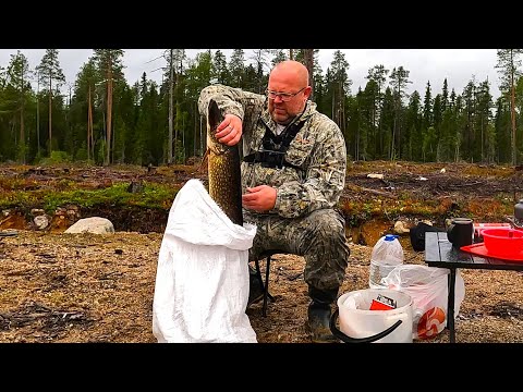 Видео: Рыбалка в Карелии. Трофейная щука на новом озере. Окуни на каждом забросе.