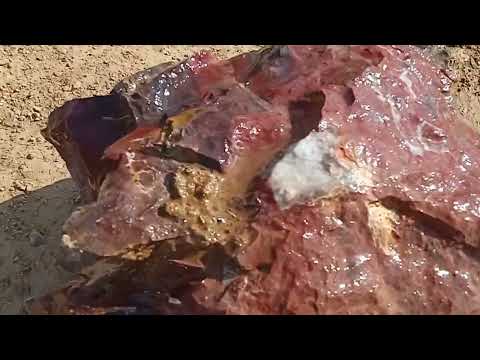 Видео: Гора ПОЛКОВНИК в поисках Орской яшмы