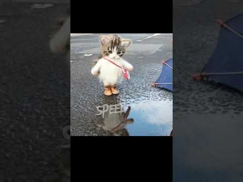 Видео: Тралики - макс корж / speed up