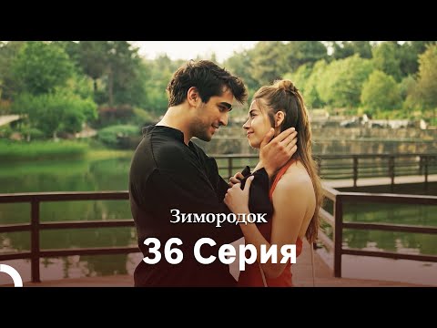 Видео: Зимородок 36 Cерия (Русский дубляж) (4K)