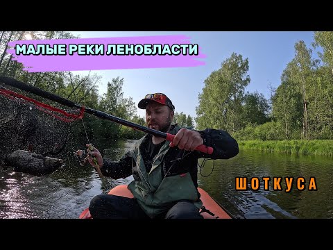 Видео: Малые реки Ленобласти. Река Шоткуса. Ловля с байдбота на кренки