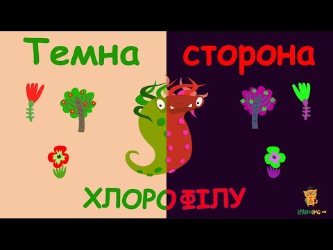 Видео: Хімія рослин. Досліди з хлорофілом