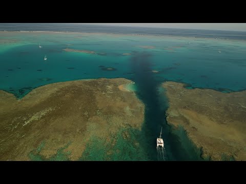 Видео: К Lady Musgrave на всех парусах