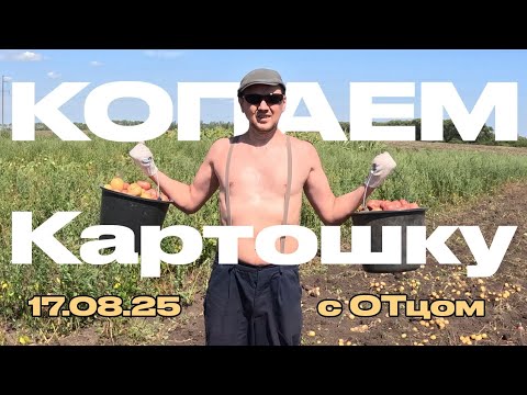 Видео: ОТец копает картошку в деревне 17 08 25г
